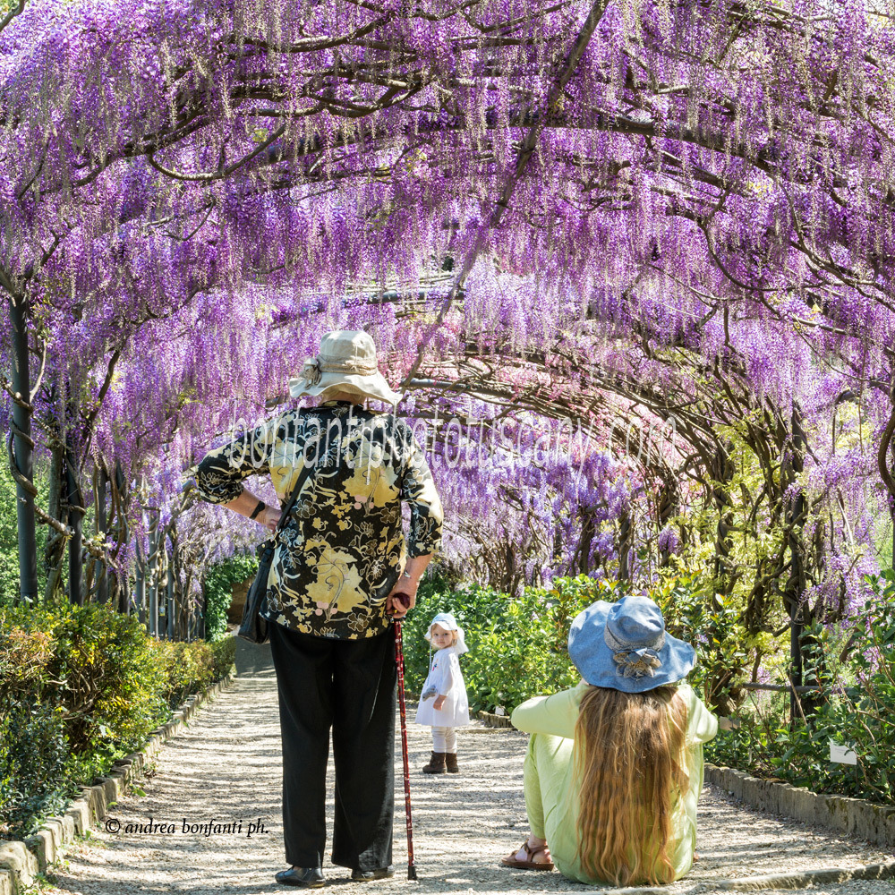 andrea bonfanti ph © Bardini garden in Springtime andrea bonfanti ph © Bardini garden in Springtime