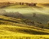 Harmonious Sites in the Tuscan Countryside guided visited