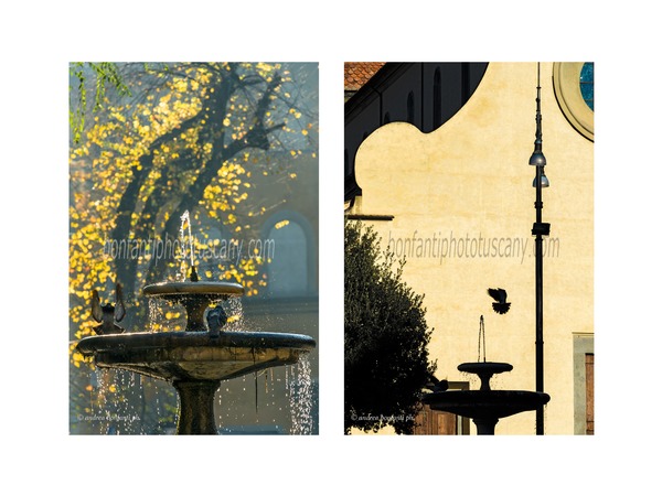 andrea bonfanti ph © a small fountain in piazza santo spirito