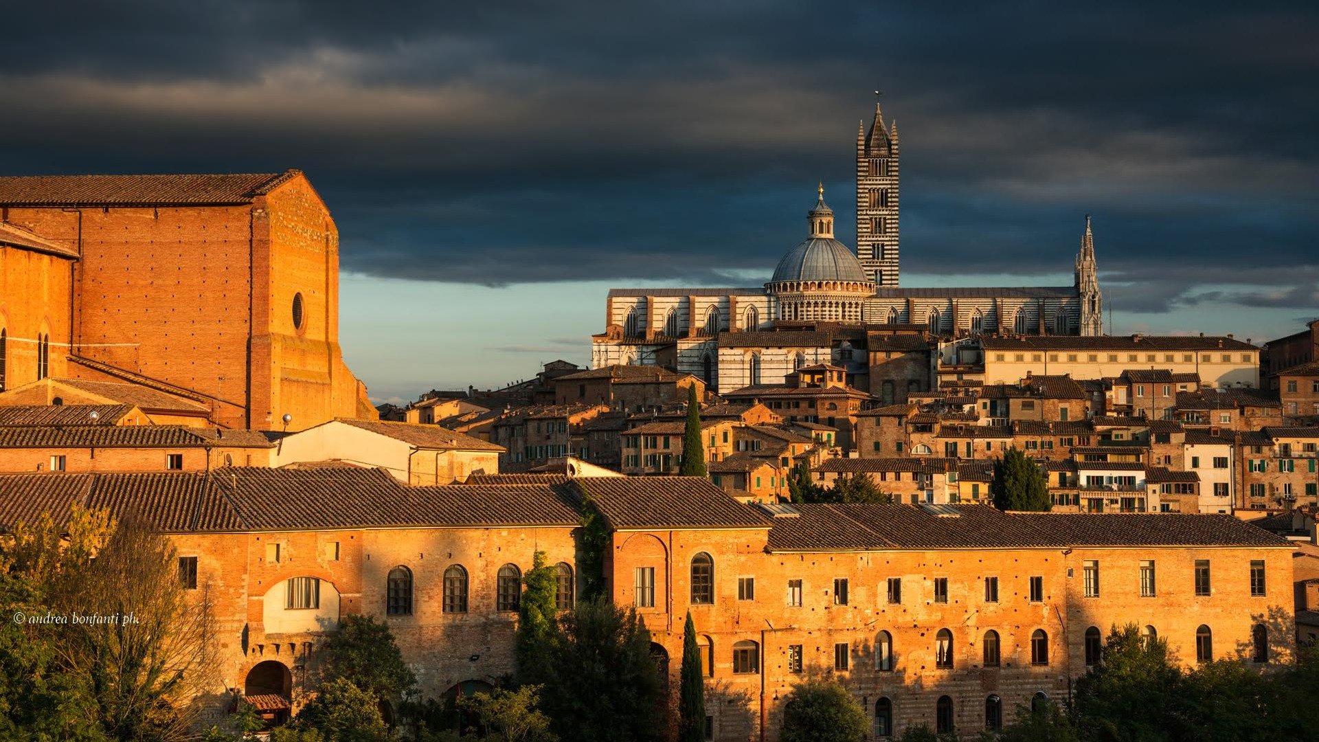 siena da san domenico 1.jpg