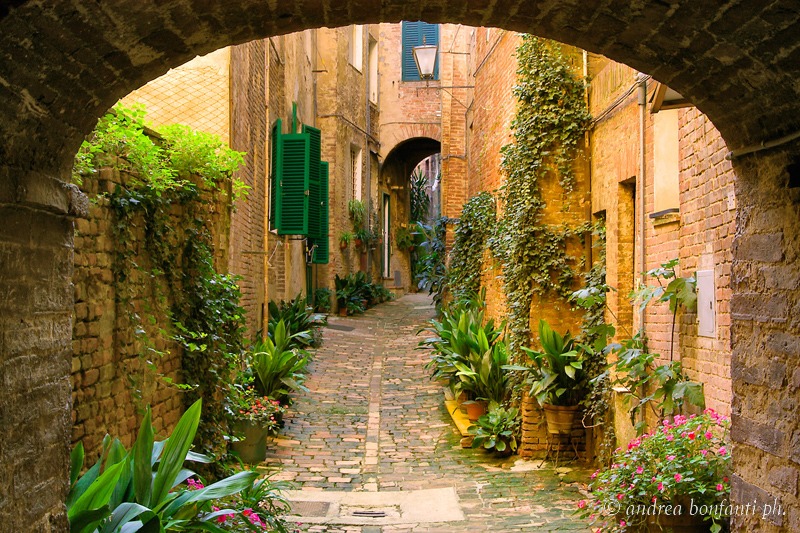 Hidden Siena Guided Tour with Isabelle : Vicolo degli Orefici © Andrea Bonfanti photographer