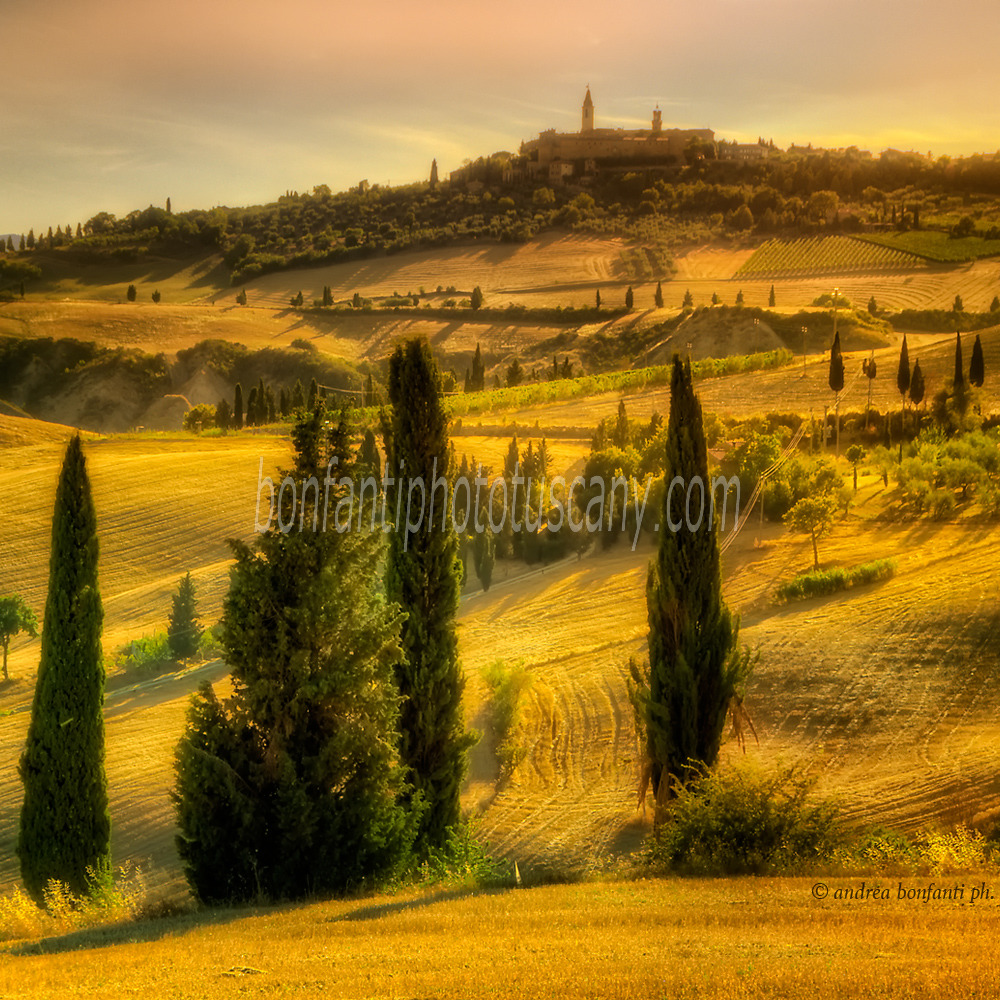 Andrea Bonfanti Photographer © Pienza panorama (Siena) Tuscany