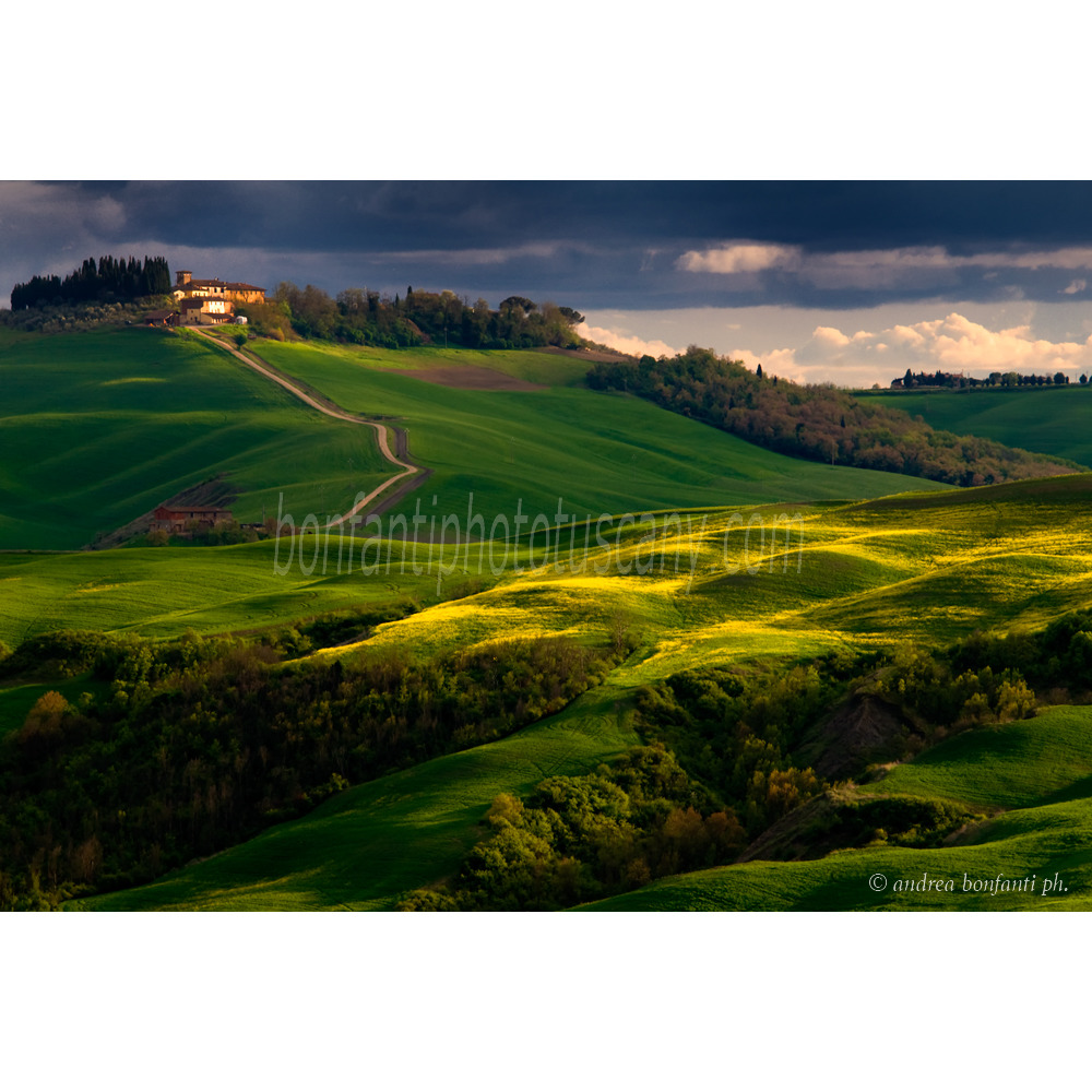 Andrea Bonfanti Photographer © Crete Senesi (Siena) Tuscany Vescona
