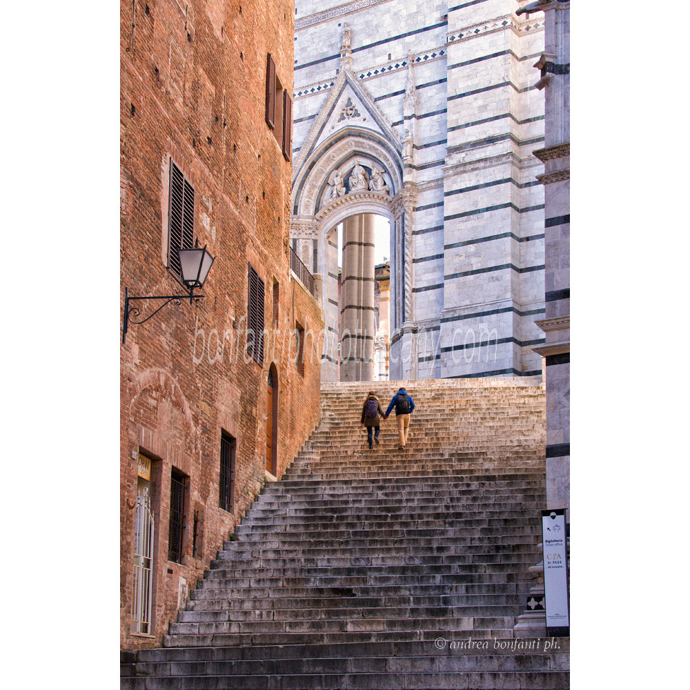 andrea bonfanti ph © Siena Cathedral Staircase