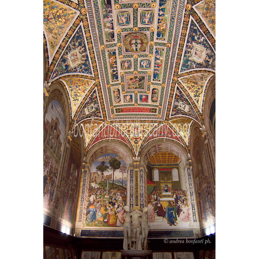 andrea bonfanti ph © Piccolomini Librery