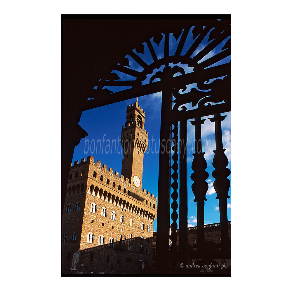 andrea bonfanti ph © Old town hall in piazza Signoria Florence