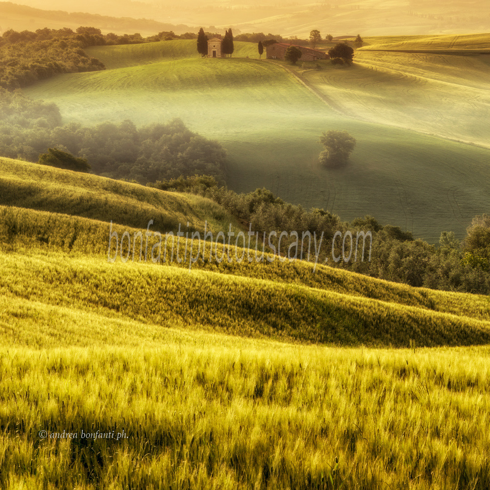 Andrea Bonfanti Photographer © Vitaleta Chapel (Siena) Tuscany