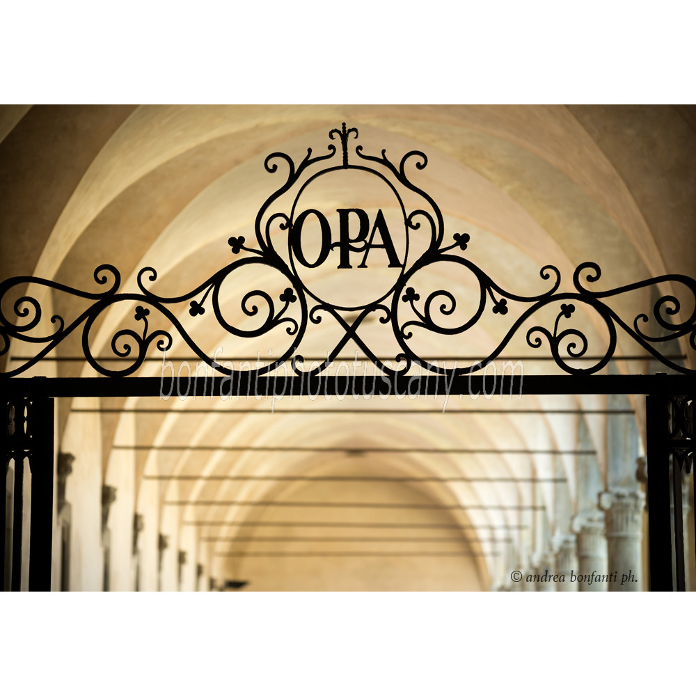 andrea bonfanti ph © cloister of Santa Croce Florence