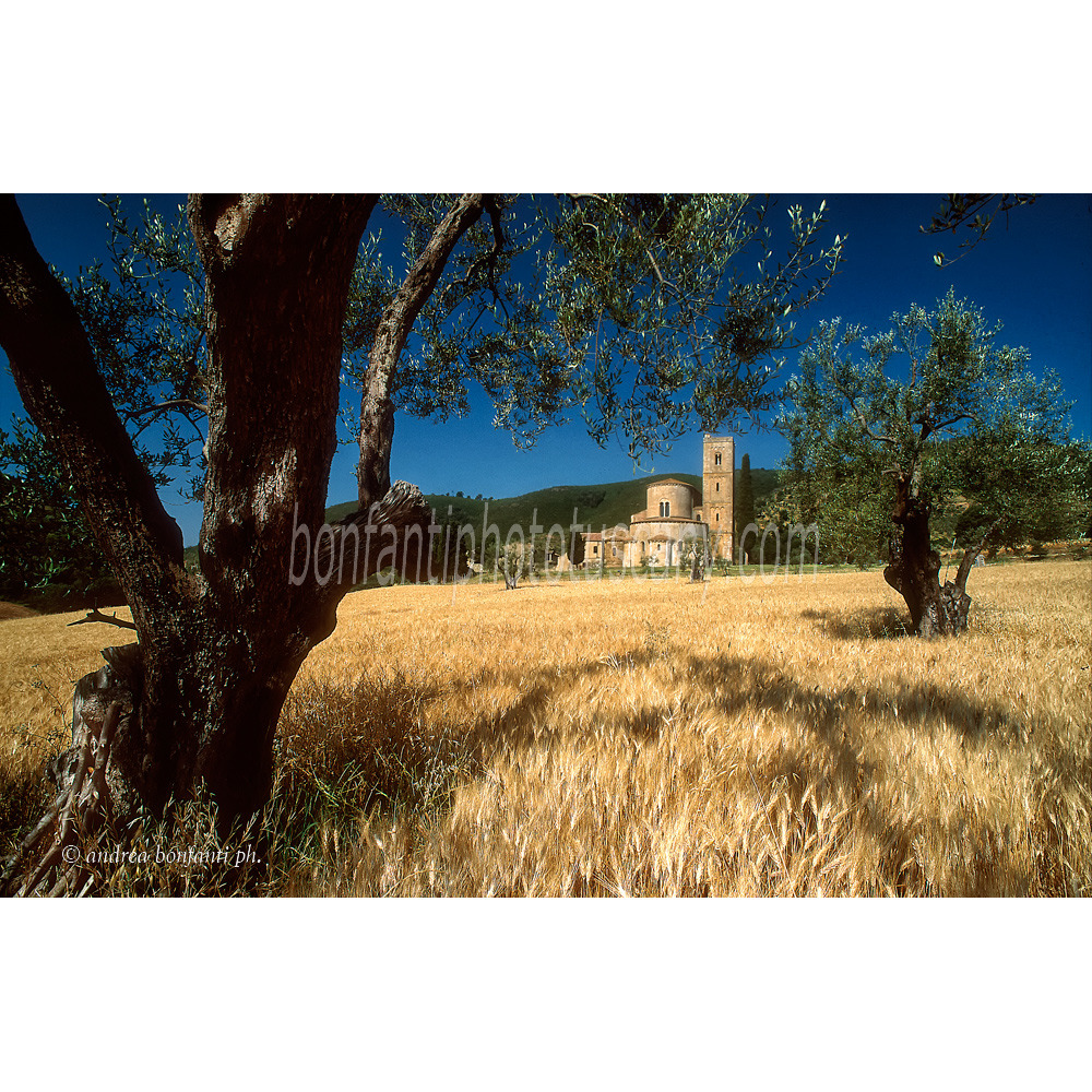 andrea bonfanti ph © Summer in Sant' Antimo Abbey (Siena)