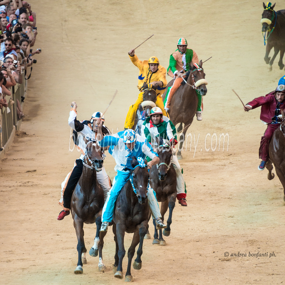 andrea bonfanti ph © The Siena Palio Race