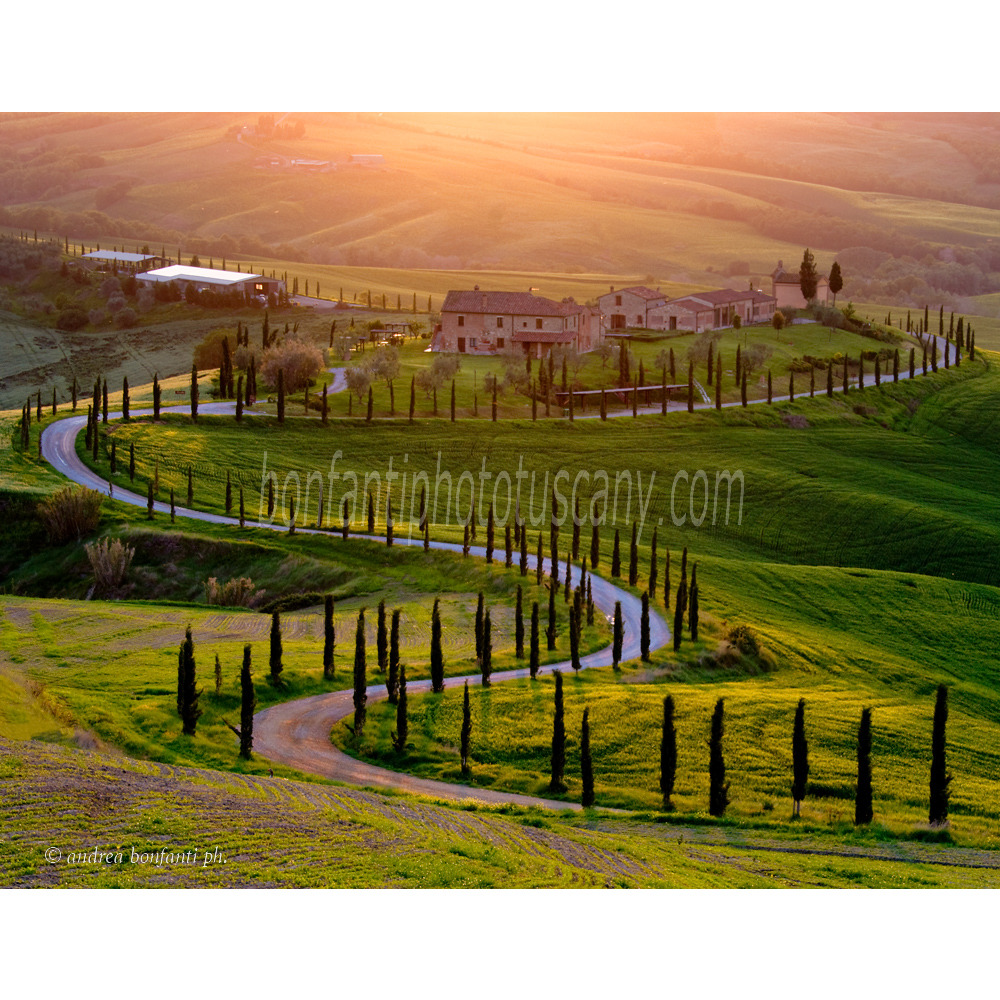 andrea bonfanti ph © Crete senesi, sunset in Chiusure (Siena)