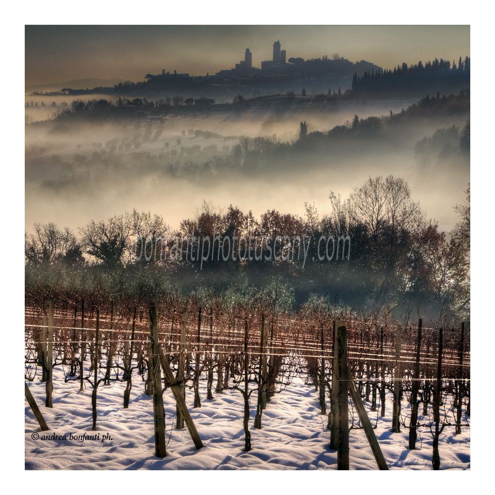 andrea bonfanti ph © San Gimignano winter countryside andrea bonfanti ph © San Gimignano winter countryside