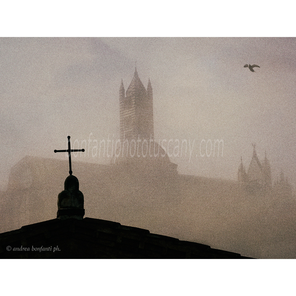 andrea bonfanti ph © Siena Cathedral from Saint Catherine