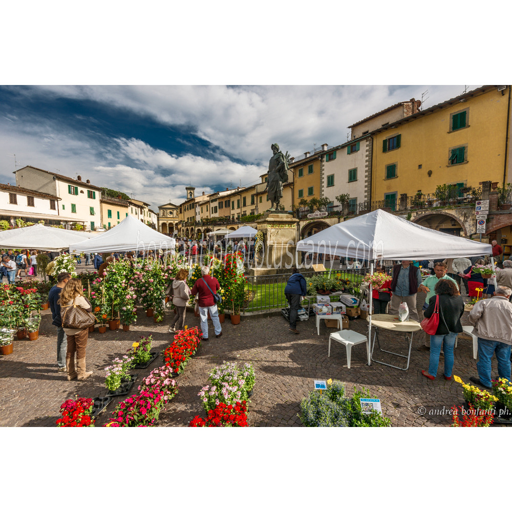 Andrea Bonfanti Photographer © Greve in Chianti (Florence) Tuscany