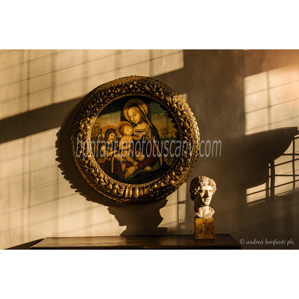 andrea bonfanti ph © Palazzo Vecchio Museum #2