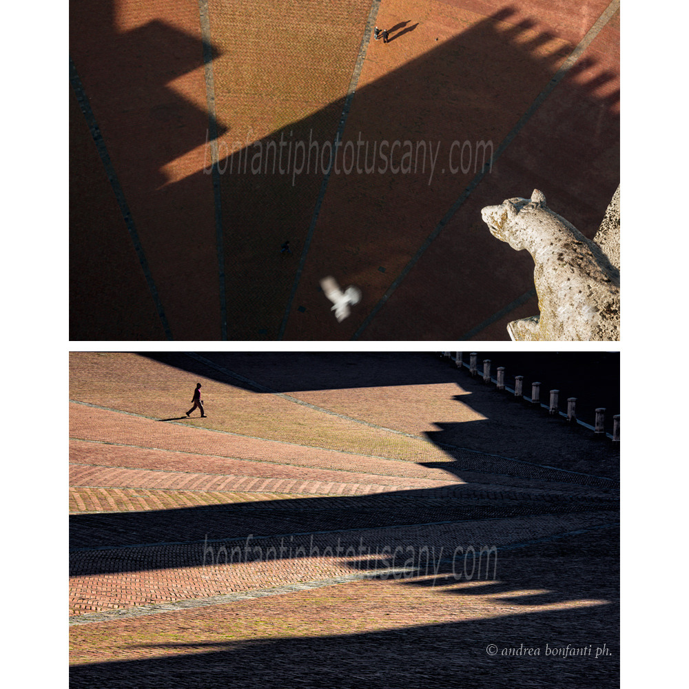 andrea bonfanti ph © Morning Shadows in the Piazza del Campo