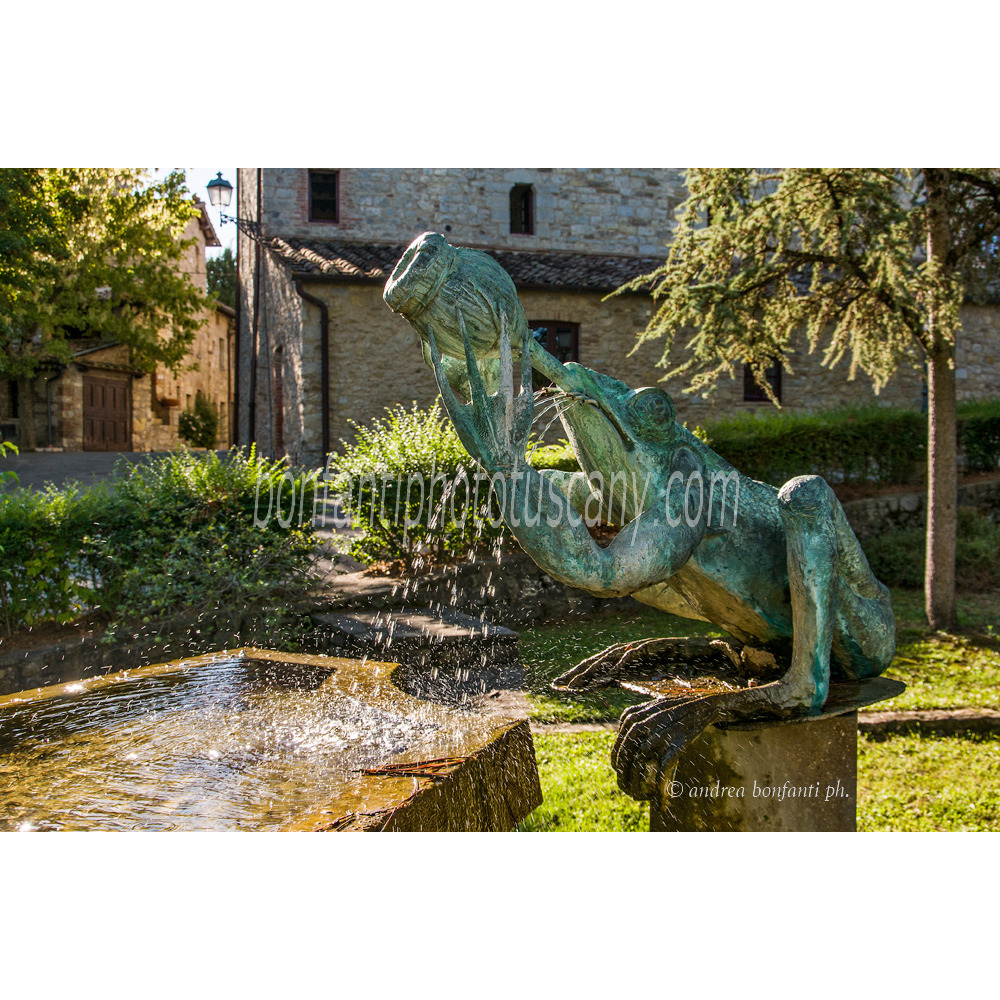 andrea bonfanti ph © Drunky Frog in San Sano (Siena) Tuscany