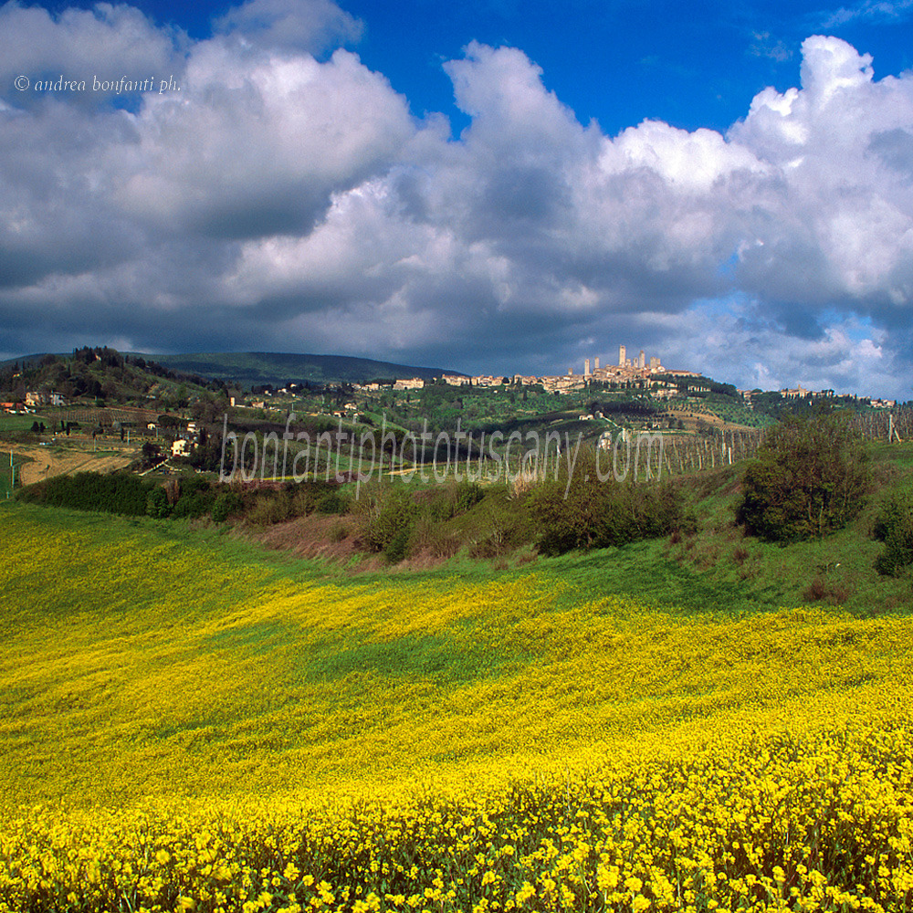 andrea bonfanti ph © San Gimignano spring countryside andrea bonfanti ph © San Gimignano spring countryside