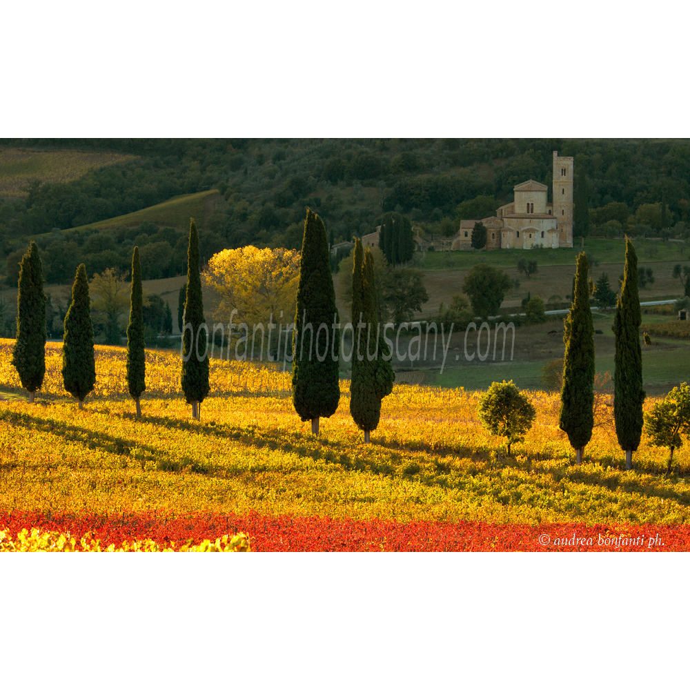 andrea bonfanti ph © Autumn in Sant'Antimo Abbey (Siena)
