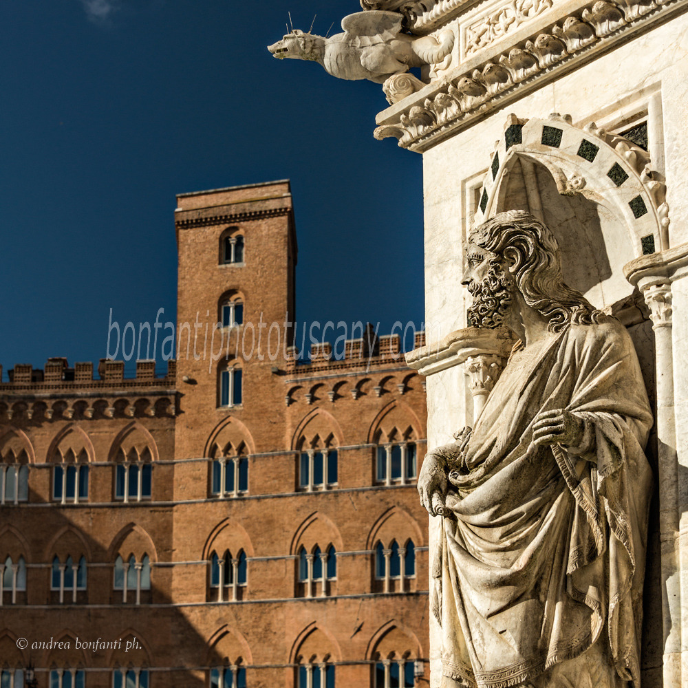 andrea bonfanti ph © a glimpse of Piazza del Campo