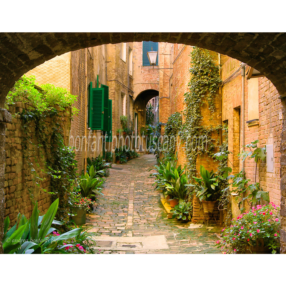 andrea bonfanti ph © Orefici Alley in Siena