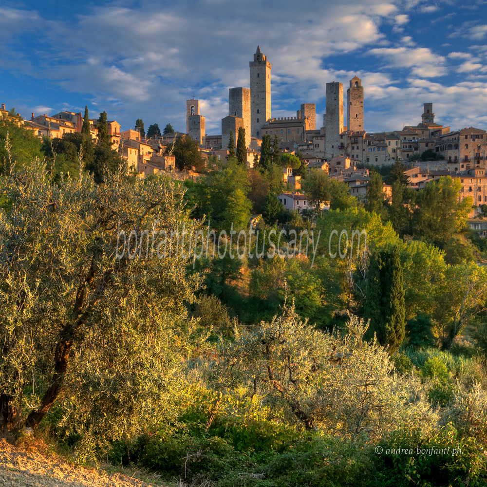 andrea bonfanti ph © San Gimignano early morning view andrea bonfanti ph © San Gimignano early morning view