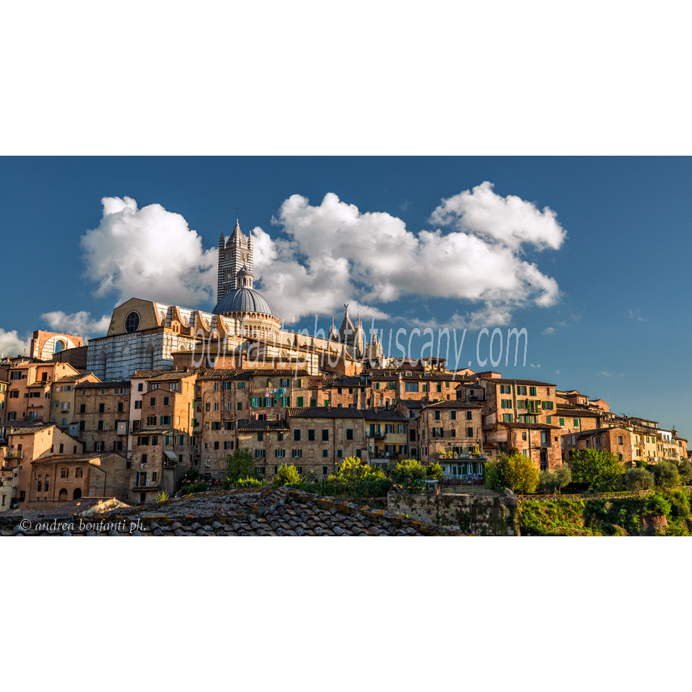 andrea bonfanti ph © view of Siena from San Domenico