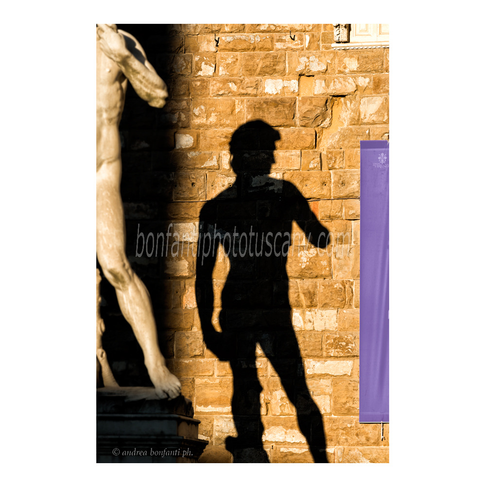 andrea bonfanti ph © David and his shadow in piazza Signoria Florence
