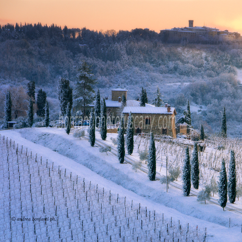 andrea bonfanti ph © Winter Landscape Radda in Chianti