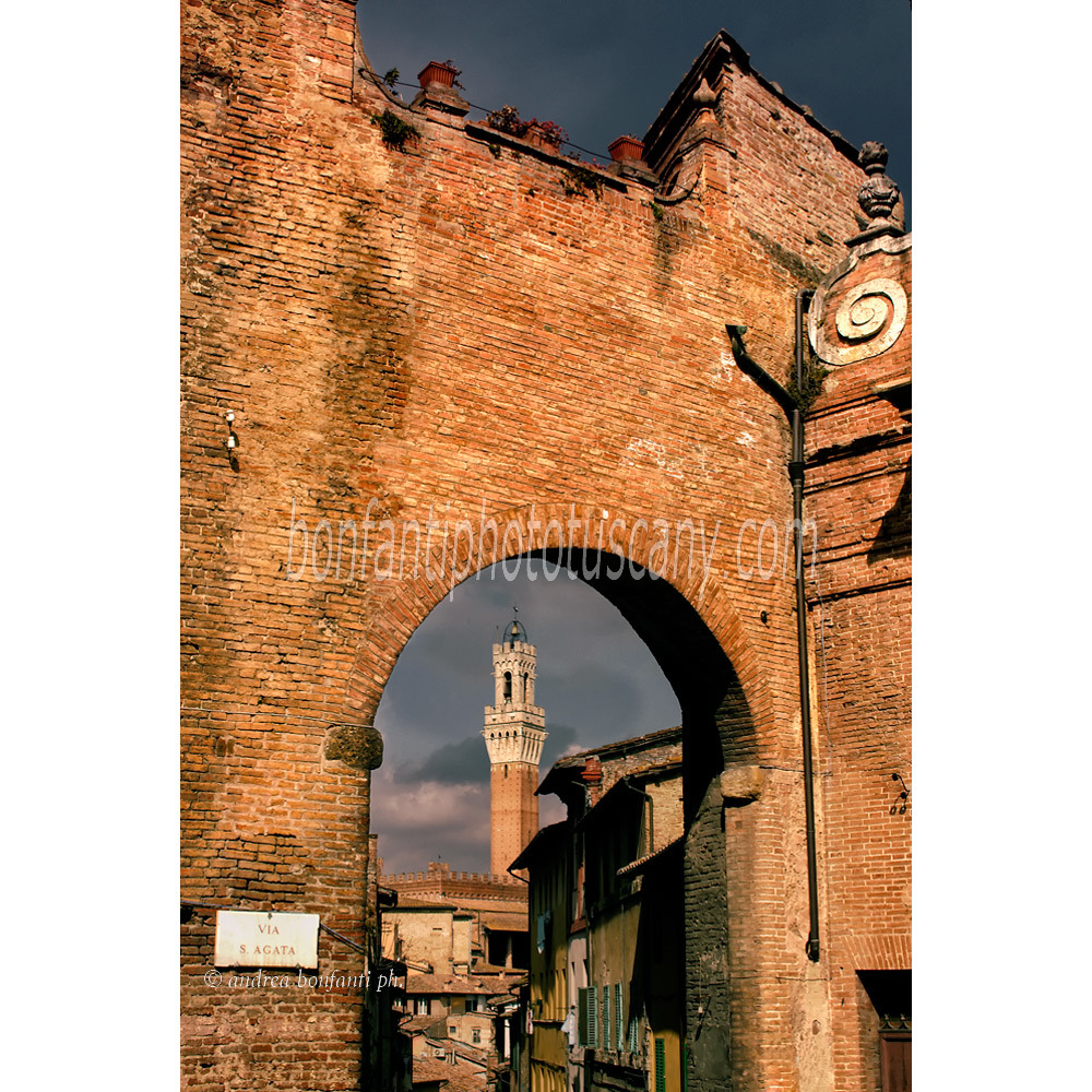 andrea bonfanti ph © Arch in the Onda District