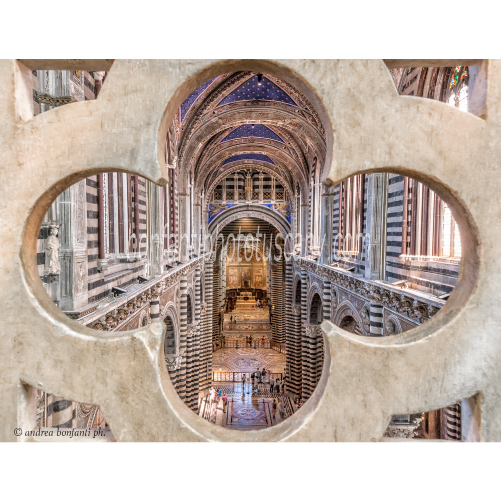 andrea bonfanti ph © Siena Cathedral The Gate of Eden #2