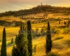 Harmonious Sites in the Tuscan Countryside guided visited