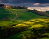 Sienese Countryside guided visited