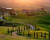 Sienese Countryside guided visited