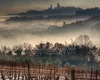 San Gimignano guided tour