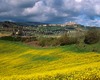 San Gimignano guided tour