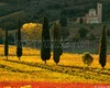 Harmonious Sites in the Tuscan Countryside guided visited