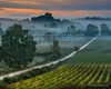 Chianti guided tour