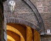 Classical Siena guided tour