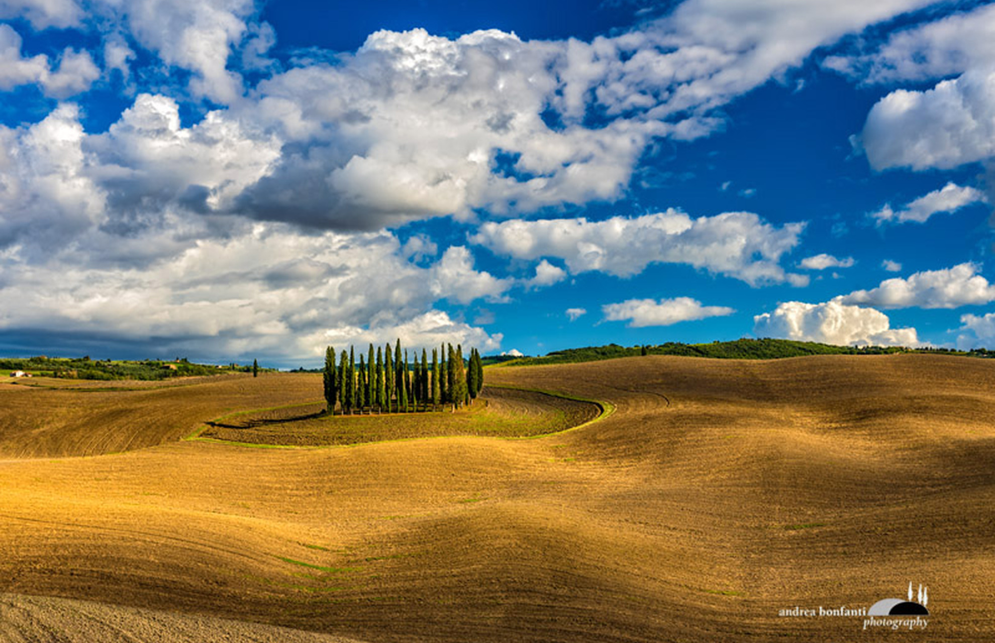 Tuscany Photo Tour : val d'Orcia landscapes © andrea bonfanti