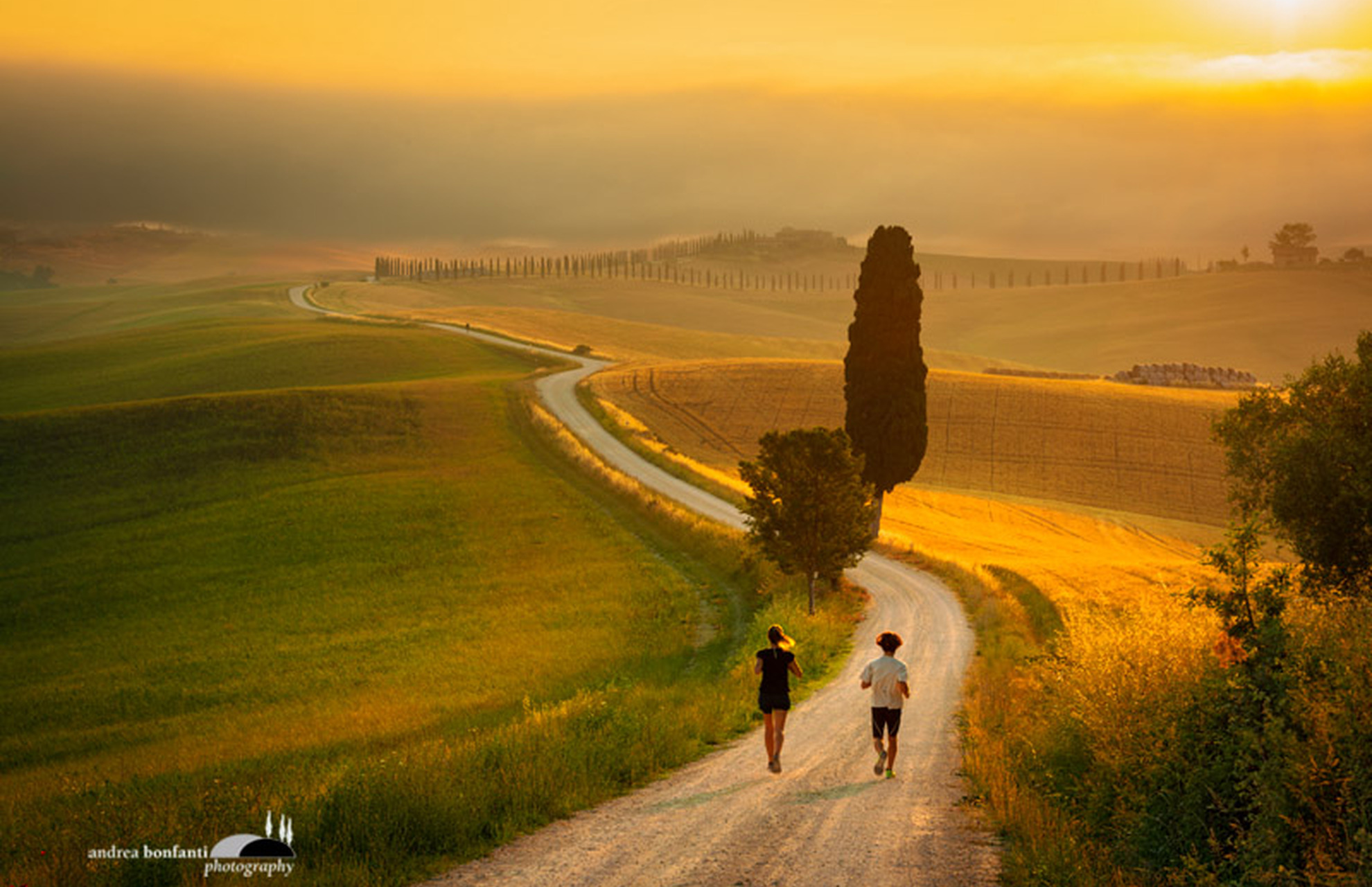 crete senesi alternate take: image intro by andrea bonfanti ph.jpg