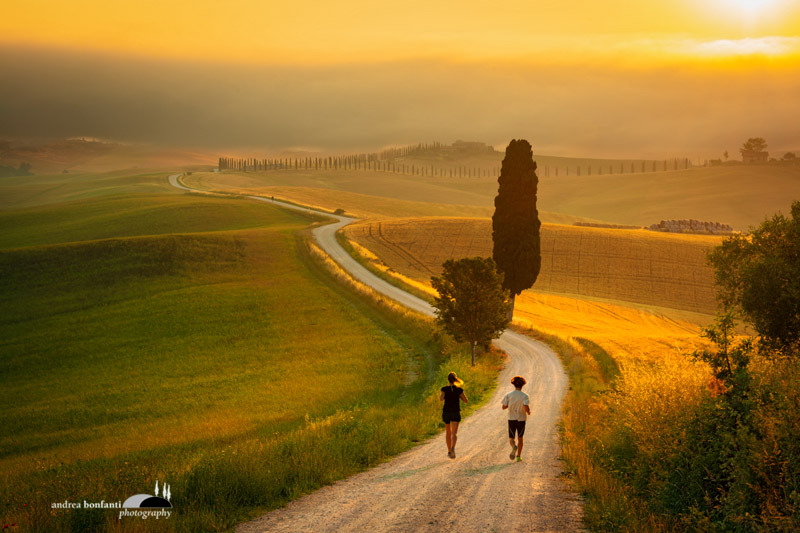 crete senesi alternate take: image intro by andrea bonfanti ph.jpg