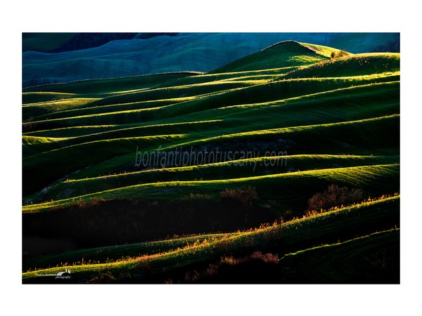 andrea bonfanti ph© crete senesi landscape - rhythm of the earth.jpg