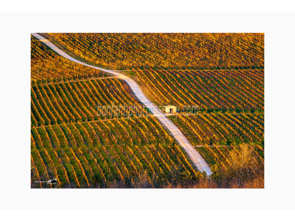 Chianti Vineyards and Villages Photo Tour with A. Bonfanti ph.