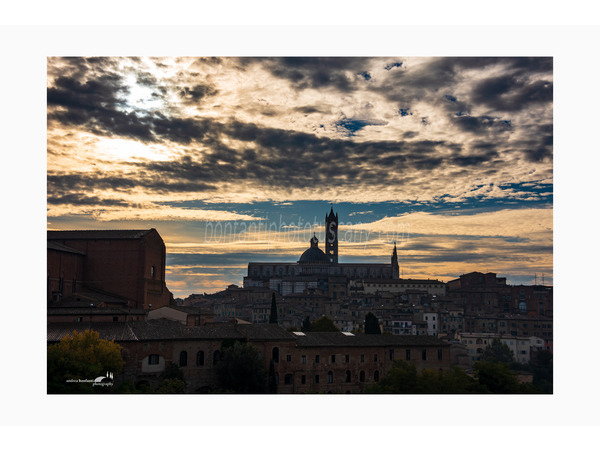 siena dark da san domenico.jpg