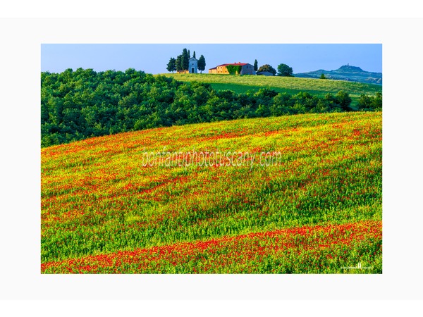 Tuscany Photo Tour Val d'Orcia landscapes