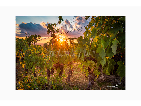 Chianti Vineyards and Villages Photo Tour with A. Bonfanti ph