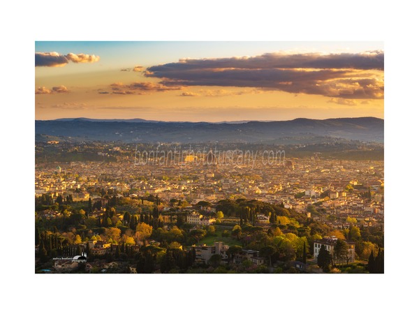 andrea bonfanti ph© view of florence from fiesole.jpg