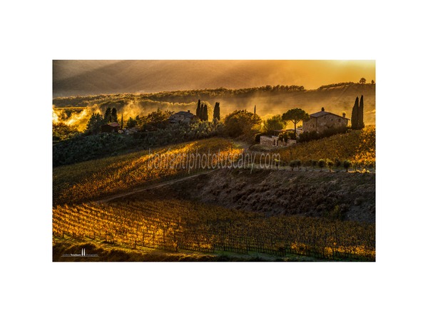 Chianti Vineyards and Villages Photo Tour with A. Bonfanti ph.