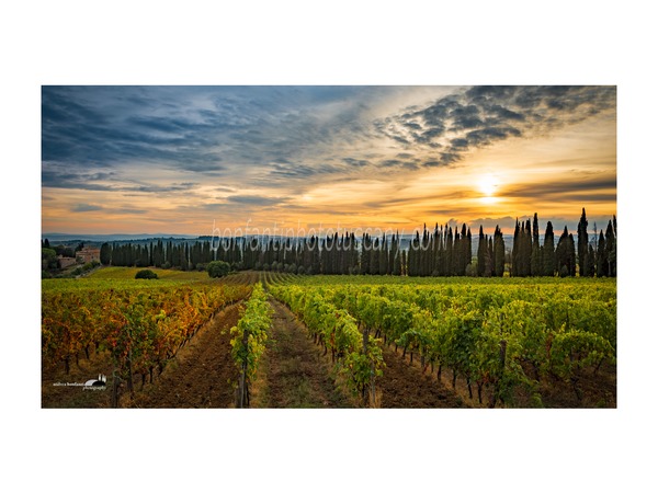 Chianti Vineyards and Villages Photo Tour with A. Bonfanti ph.s